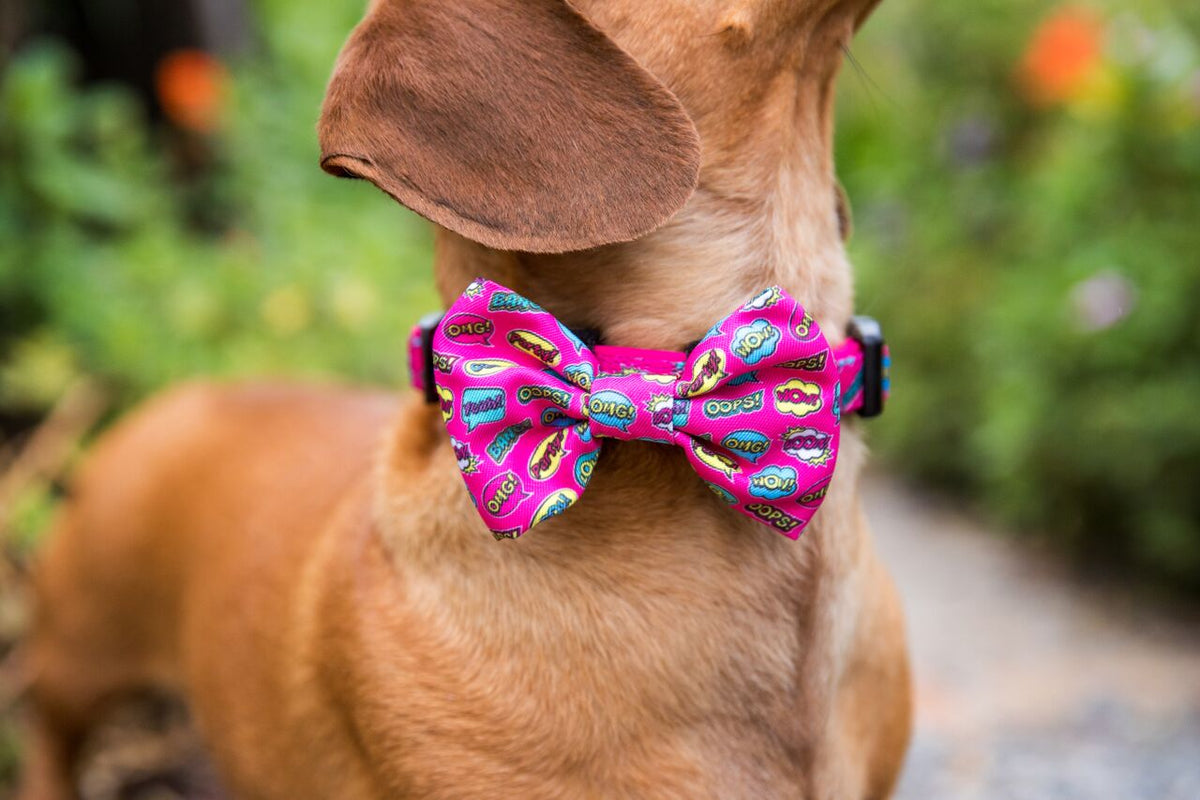 Pink bow online tie dog collar