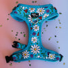 DOG HARNESS | Ladybird Lane | Neck Adjustable Dog Harness: Medium