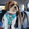 DOG HARNESS | Ladybird Lane | Neck Adjustable Dog Harness: XS