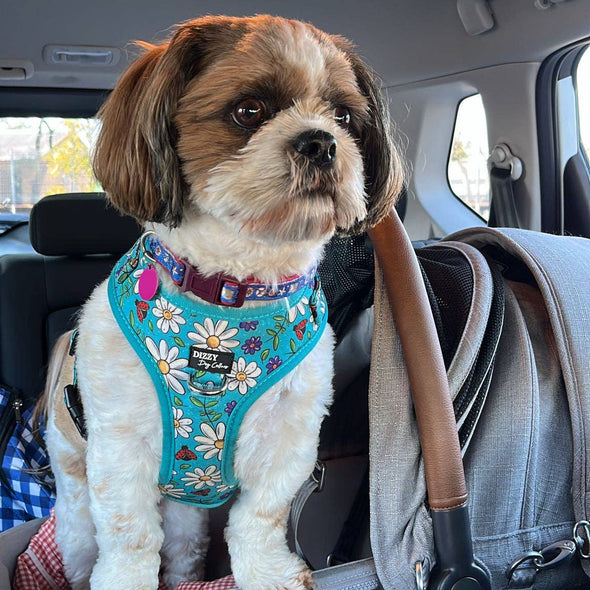 DOG HARNESS | Ladybird Lane | Neck Adjustable Dog Harness: Medium