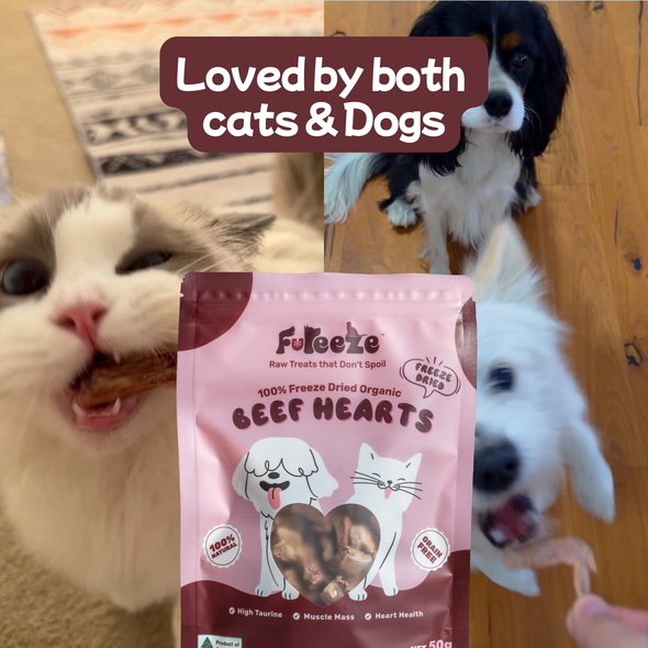 50g Freeze Dried Organic Beef Hearts By Fureeze™