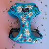 DOG HARNESS | Ladybird Lane | Neck Adjustable Dog Harness: Medium