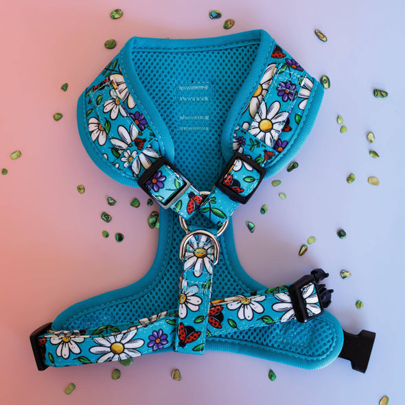 DOG HARNESS | Ladybird Lane | Neck Adjustable Dog Harness: XS
