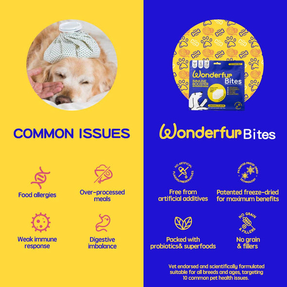 Wonderfur Bites Immune Booster for Dogs