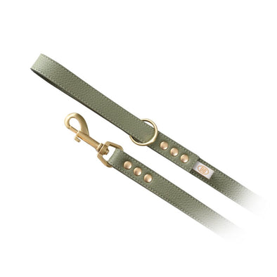 BUDDY BELT:<br>All Leather Leash<br>Sage