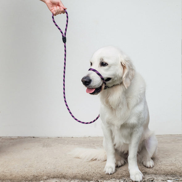 Luca Rope Leash