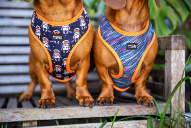 B&P "Spaced Out" Reversible Harness - Barkley and Pips