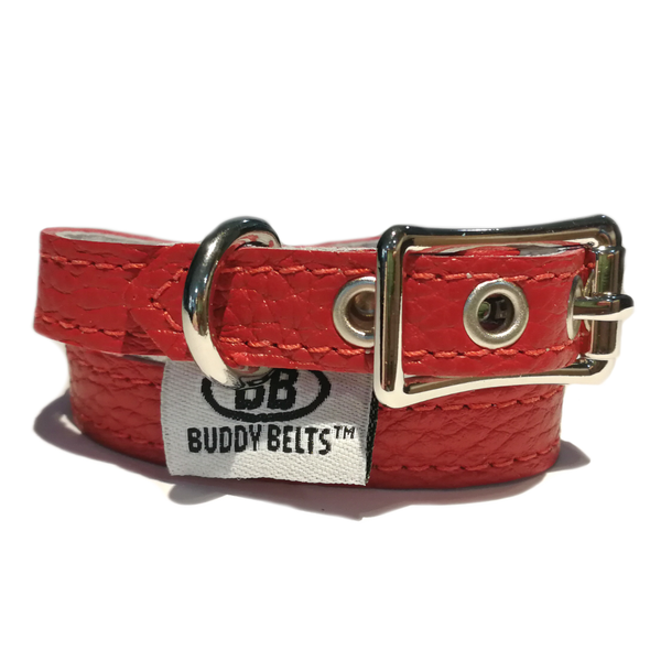 BUDDY BELT: Collar- Red Leather