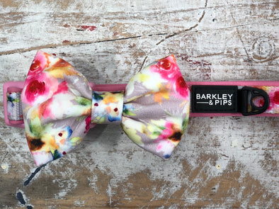 COLLAR & BOW TIE: <br>Pretty in Pink<br>NEW!