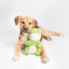 ZIPPY PAWS: Cheeky Chums Frog